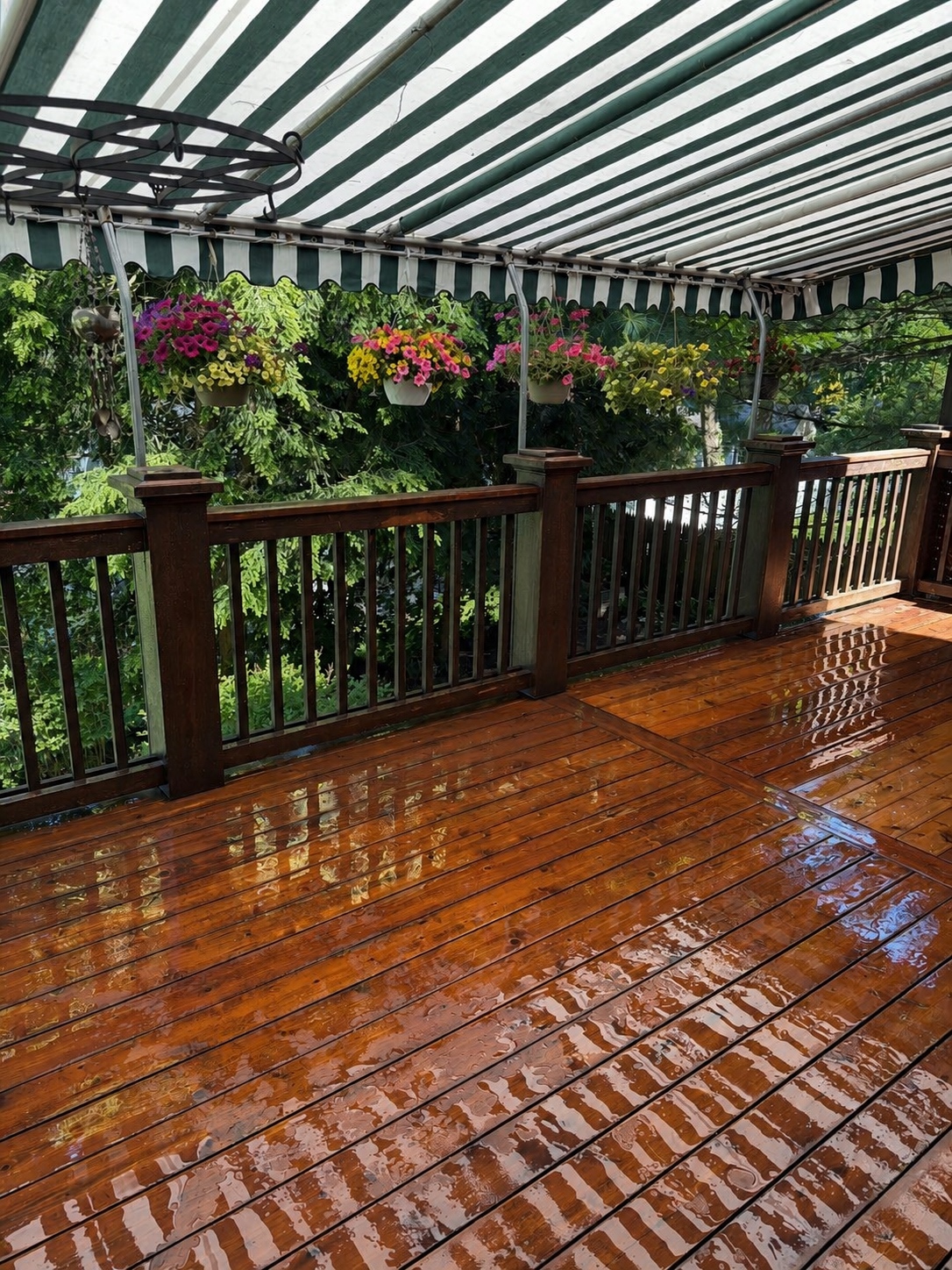 Wet wood deck with restored boards and a covered outdoor area after pressure washing by Genesis Pro Painting