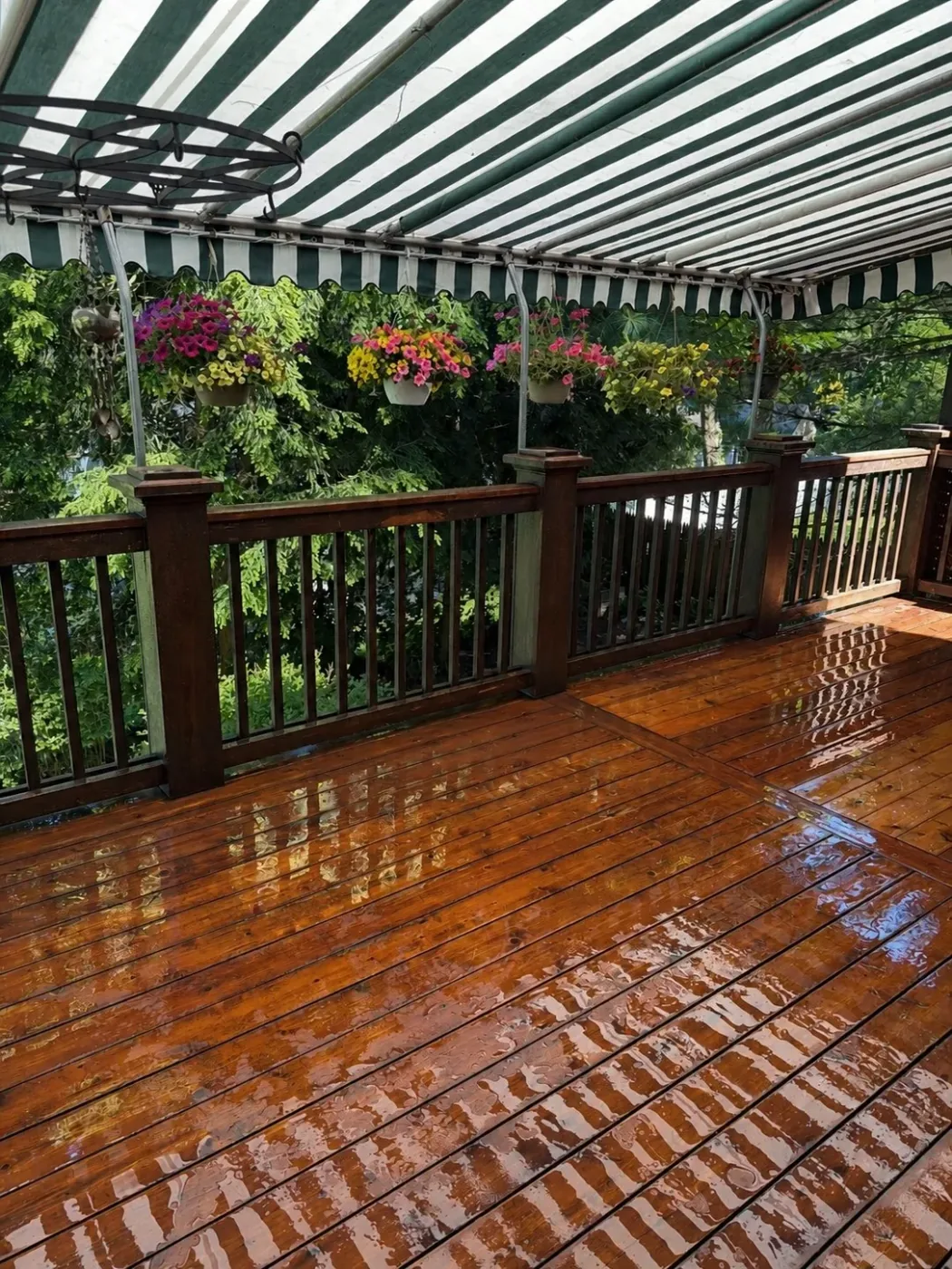 Wet wood deck with restored boards and a covered outdoor area after pressure washing by Genesis Pro Painting