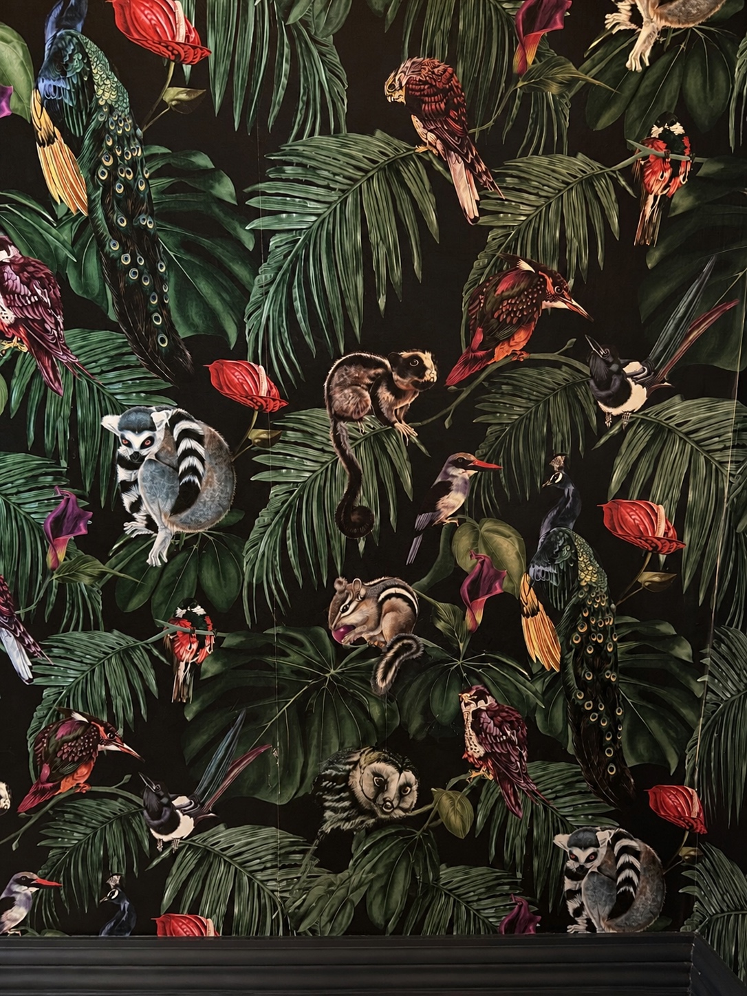 Dark tropical wallpaper with birds and palm leaves on a finished feature wall