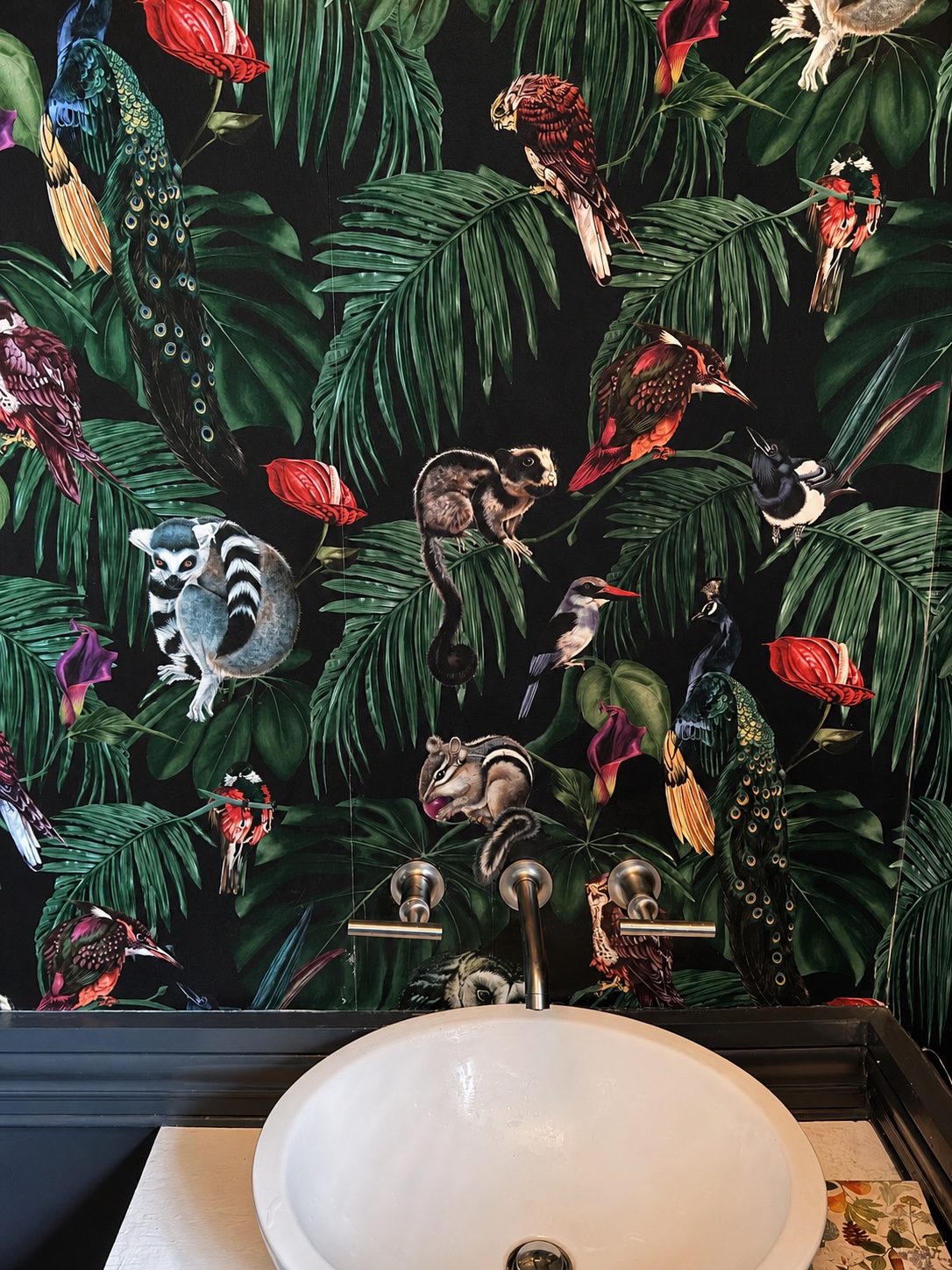 Tropical bird and jungle wallpaper installed behind a vessel sink by Genesis Pro Painting