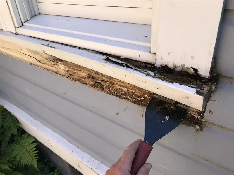 Damaged wood beneath an exterior window being removed before repair